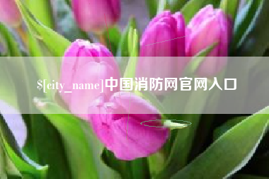 乐陵中国消防网官网入口