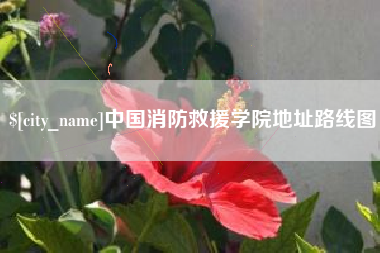 乐陵中国消防救援学院地址路线图