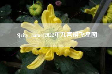 乐陵2022年九宫格飞星图