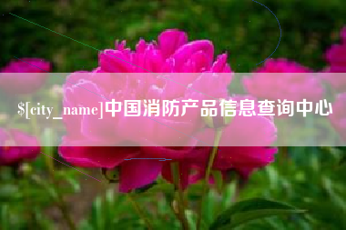 乐陵中国消防产品信息查询中心