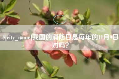 乐陵我国的消防日是每年的11月9日对吗？