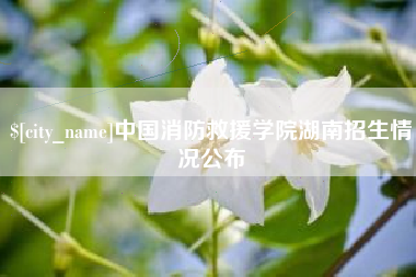 乐陵中国消防救援学院湖南招生情况公布