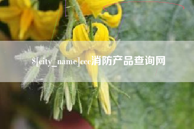 乐陵ccc消防产品查询网