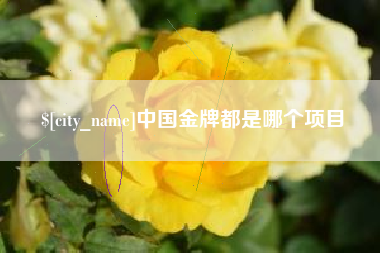 乐陵中国金牌都是哪个项目
