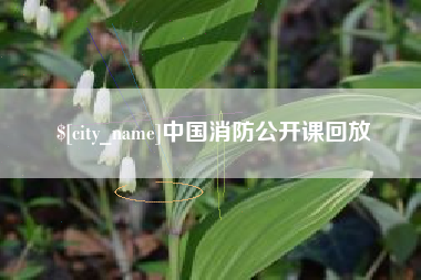 乐陵中国消防公开课回放