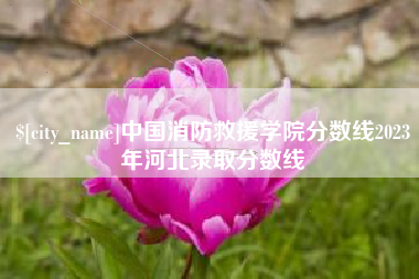 乐陵中国消防救援学院分数线2023年河北录取分数线