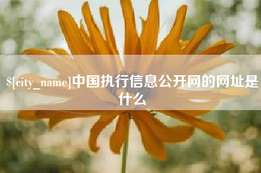 乐陵中国执行信息公开网的网址是什么