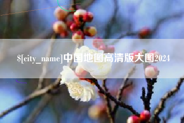 乐陵中国地图高清版大图2024