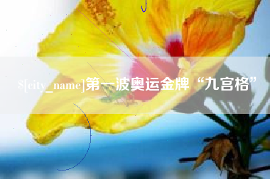 乐陵第一波奥运金牌“九宫格”