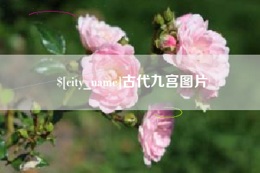 乐陵古代九宫图片