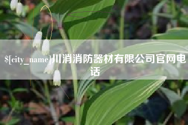 乐陵川消消防器材有限公司官网电话