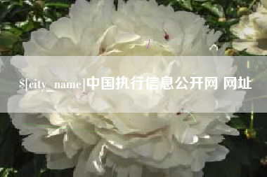乐陵中国执行信息公开网 网址