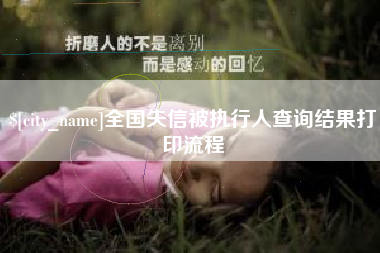 乐陵全国失信被执行人查询结果打印流程
