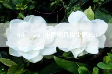 乐陵中国的几块金牌2021