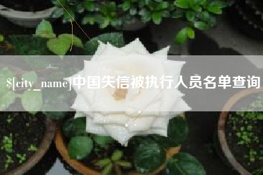乐陵中国失信被执行人员名单查询
