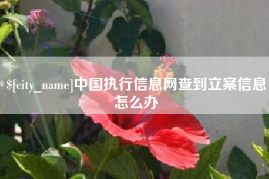 乐陵中国执行信息网查到立案信息怎么办