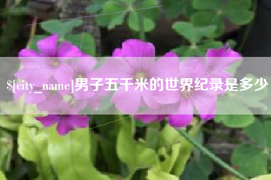 乐陵男子五千米的世界纪录是多少