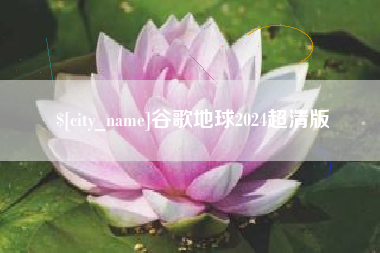 乐陵谷歌地球2024超清版