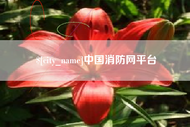 乐陵中国消防网平台