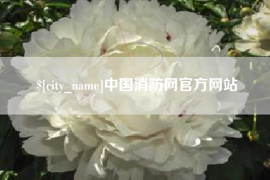乐陵中国消防网官方网站
