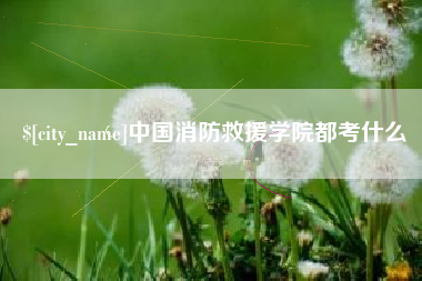 乐陵中国消防救援学院都考什么