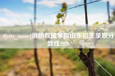 乐陵消防救援学院山东招生录取分数线2020