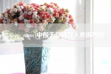乐陵中国失信执行人查询官网