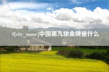 乐陵中国第九块金牌是什么