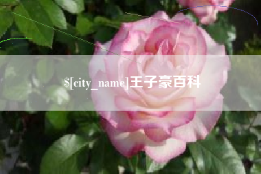 乐陵王子豪百科
