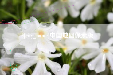 乐陵中国地图像素版