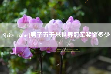 乐陵男子五千米世界冠军奖金多少