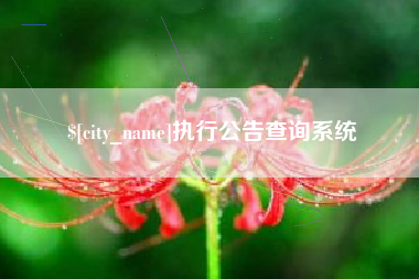 乐陵执行公告查询系统
