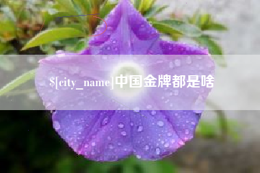 乐陵中国金牌都是啥