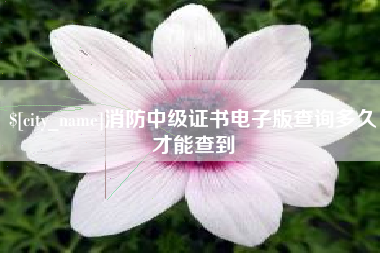 乐陵消防中级证书电子版查询多久才能查到