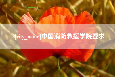 乐陵中国消防救援学院要求