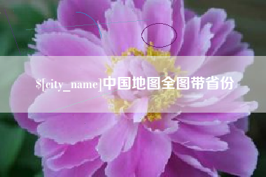 乐陵中国地图全图带省份