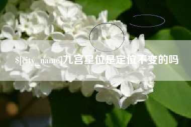 乐陵九宫星位是定位不变的吗