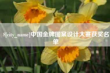 乐陵中国金牌图案设计大赛获奖名单