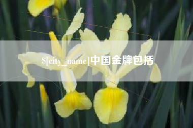 乐陵中国金牌包括