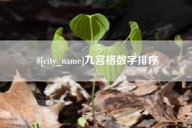 乐陵九宫格数字排序