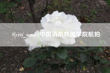 乐陵中国消防救援学院航拍