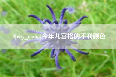 乐陵今年九宫格的不利颜色