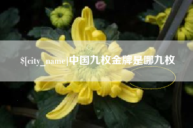 乐陵中国九枚金牌是哪九枚