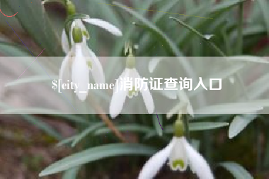 乐陵消防证查询入口