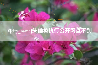 乐陵失信被执行公开网查不到