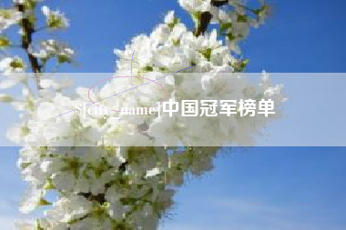 乐陵中国冠军榜单