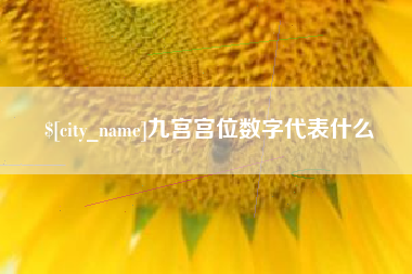 乐陵九宫宫位数字代表什么