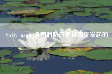 乐陵全国消防日是从哪年发起的