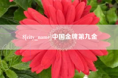 乐陵中国金牌第九金