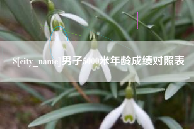 乐陵男子5000米年龄成绩对照表